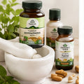 Health & Wellness