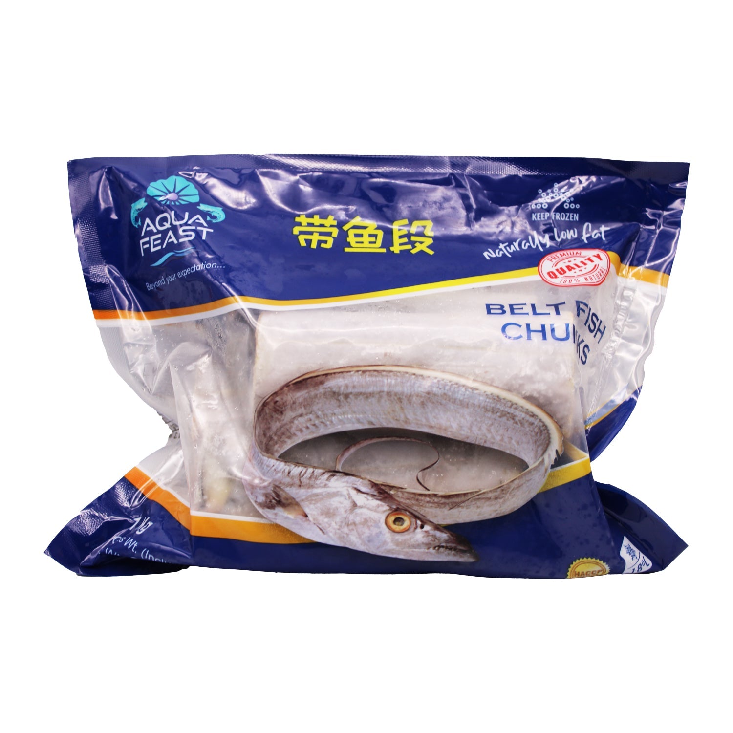 Belt Fish(Ribbon Fish) by Aqua Feast